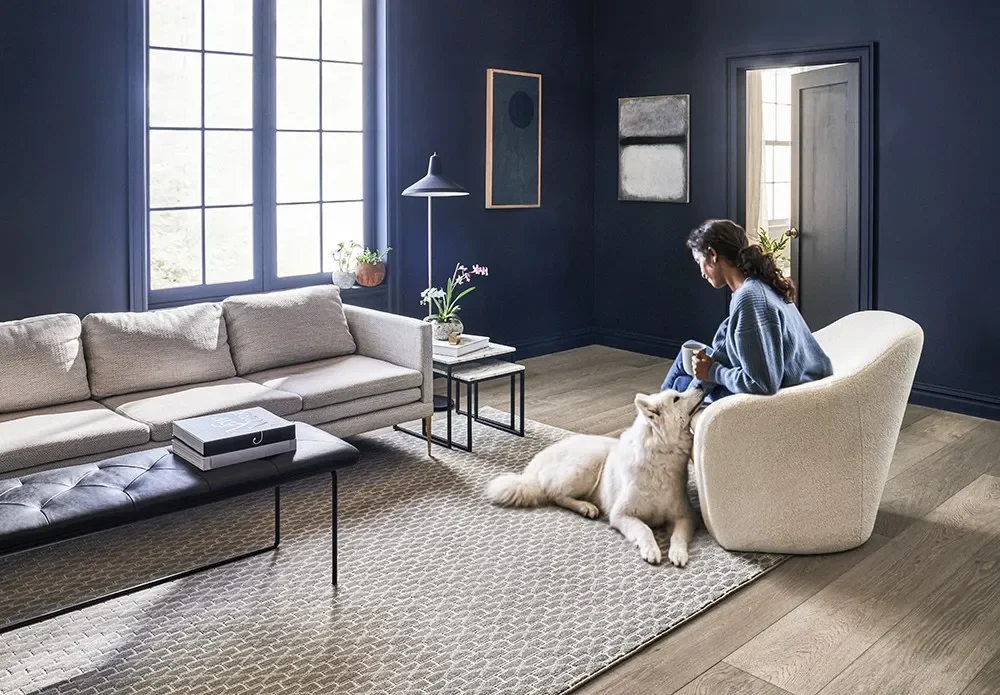 area rug inspiration gallery 2 - Pierce Carpet Mill Outlet