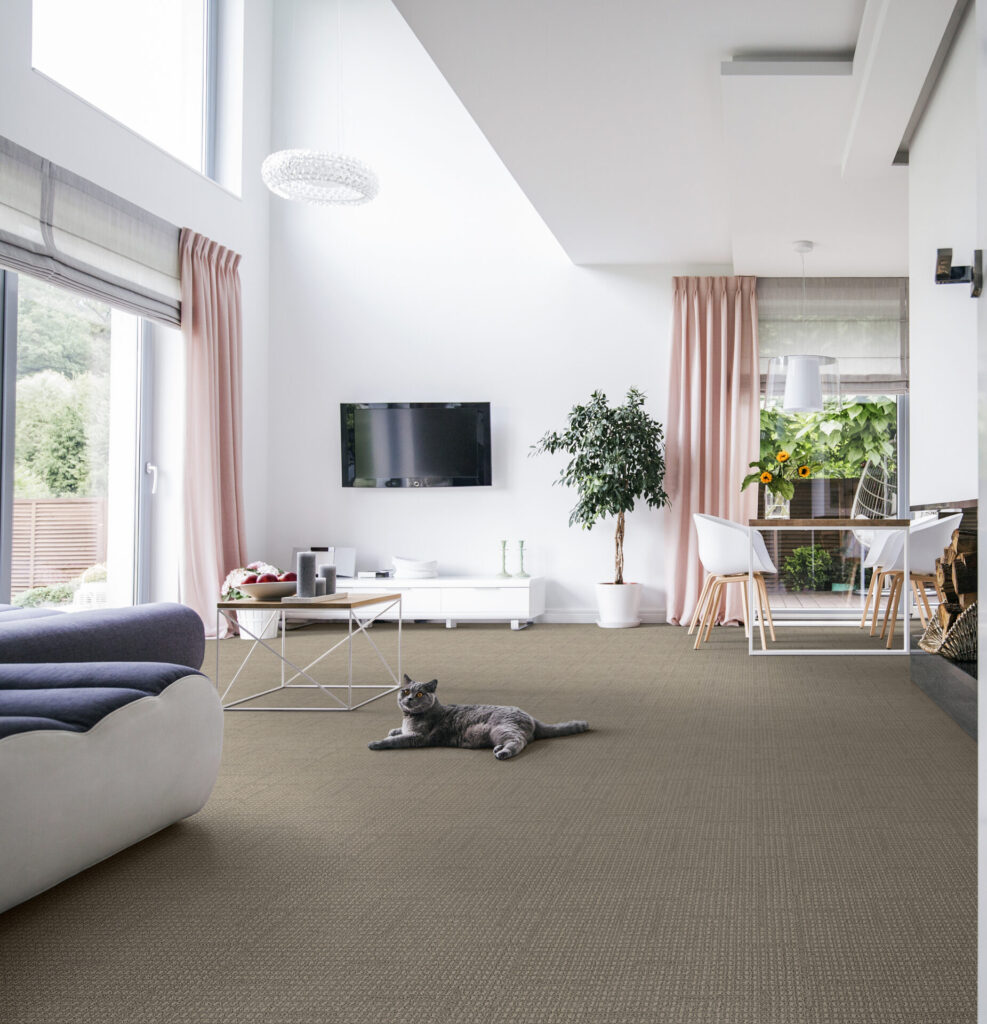 Tabby 76906 RS - Pierce Flooring